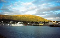 39 Nesna am Ende des Ranafjords in Norwegen_Hafen